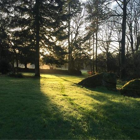 Merveilleux Cottage Dans Parc De 7,5 Hectares Saint-Nicolas-du-Pélem Exterior foto